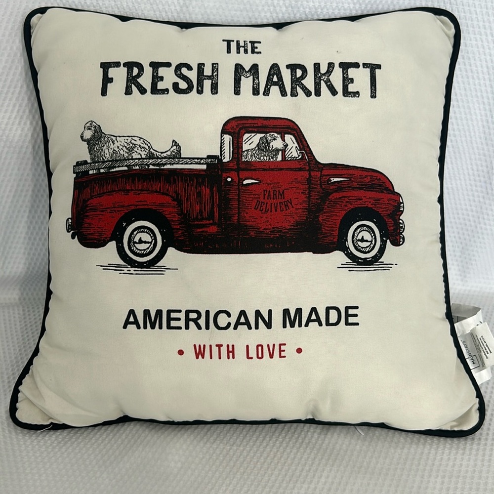 Mainstays 16 X 16 decorative pillow